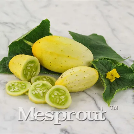 

Gherkin , Mexican Sour Gherkin, 100PCS Teeny Crunchy Fruit, Easy Heirloom, Non GMO, Tangy Flavor, Fun For Kids Free Shipping