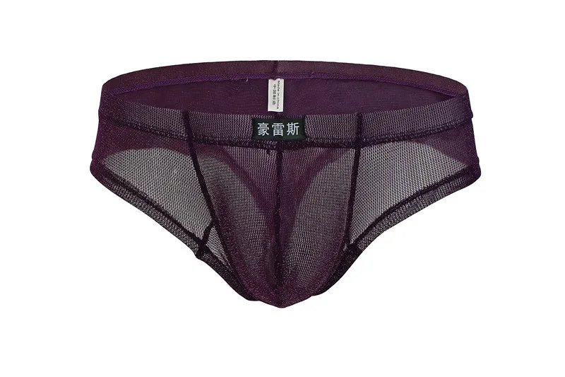 Sexy Men Underwear Mesh Transparent Briefs Bulge Comfy Underwear Pants Breathable Short Briefs Sexy Jockstrap Cuecas Briefs