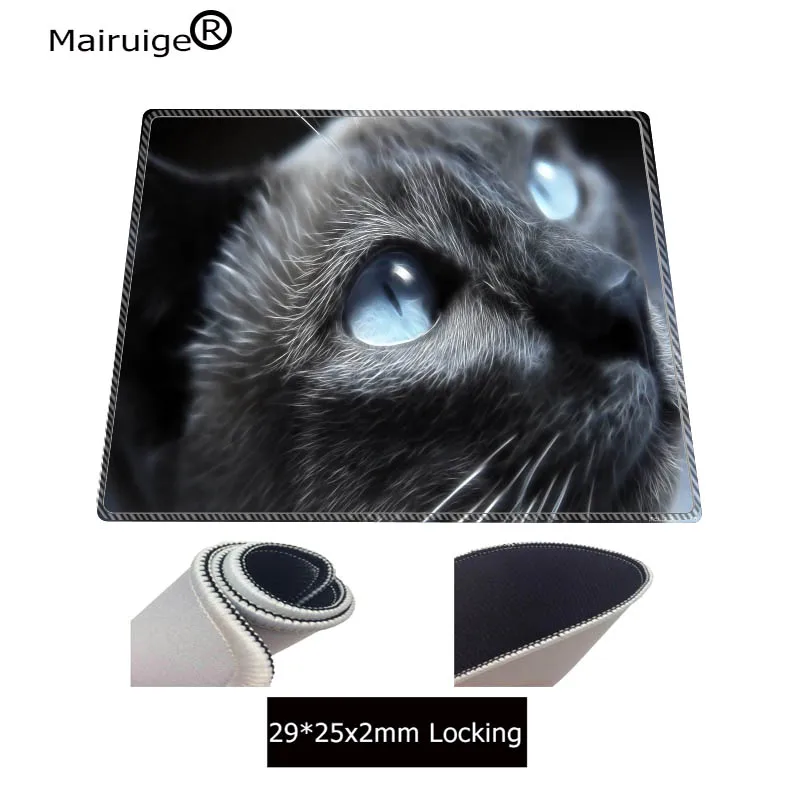 eyes-cats-blue-animals-the-cat-2400x1350-wallpaper