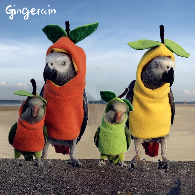 

Gingerain Bird clothes Parrot clothes The Little Prince original hand-made custom bird clothes Hooded Sweater Fruit park