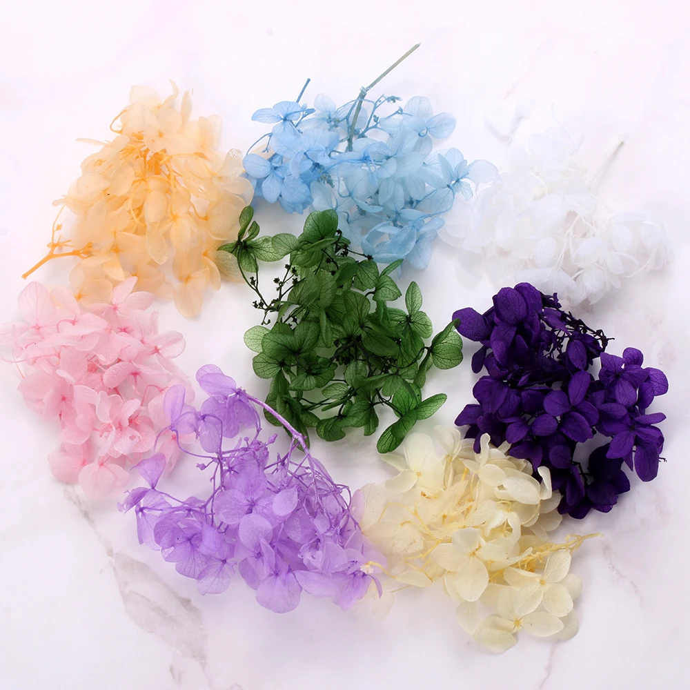 

1Box Dry Flower Handmade Filling Materials Filler Dried Flowers DIY Epoxy Resin Crafts Time Stone Jewelry Making Desk Decoration