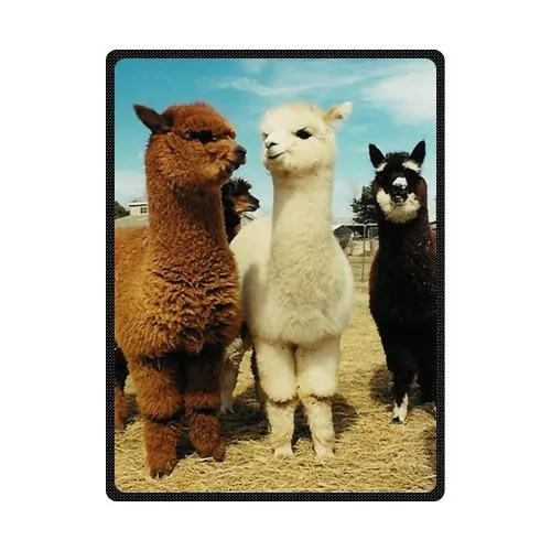 Customize Home Throw Blanket Fashion intimate llama Long neck Soft