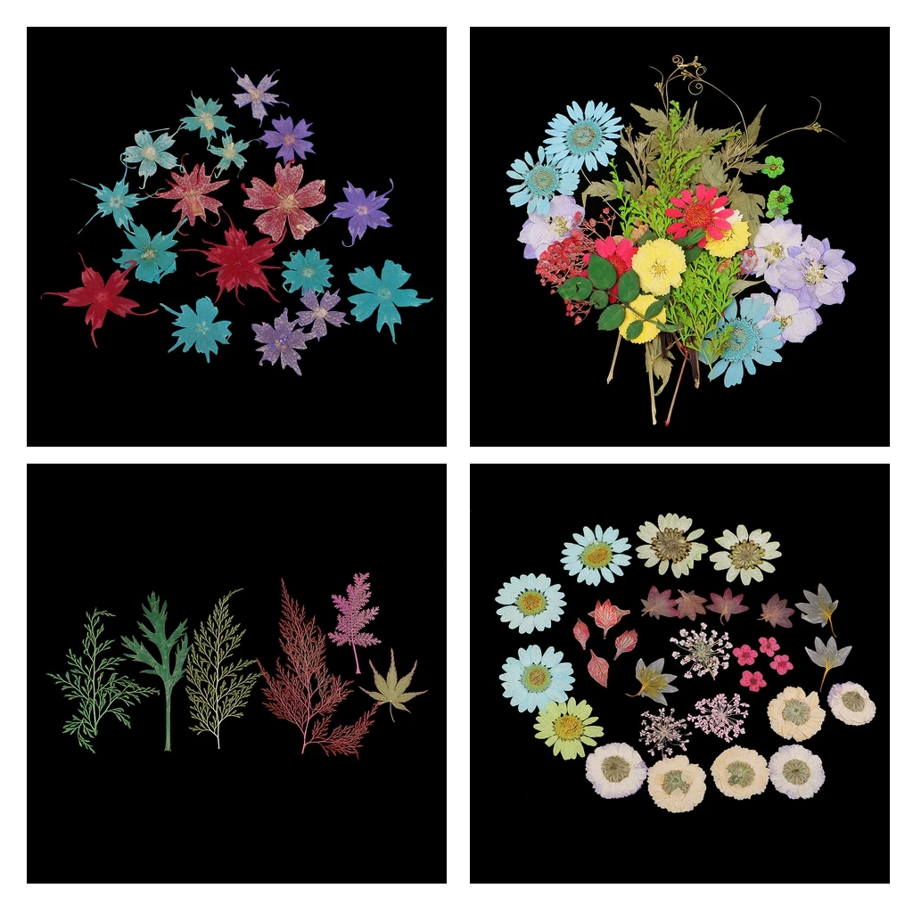 Pack Of Natural Dried Flower Real Flower Mixed For DIY Resin Ornament Craft Card Making Scrapbooking Embellishment Floral Design