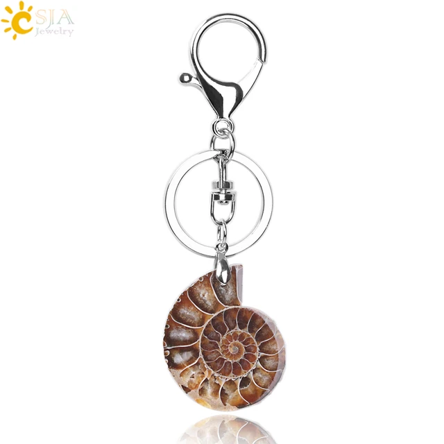 Chakra Heilung Kristall Stein Halskette Ammonite Fossil Natural