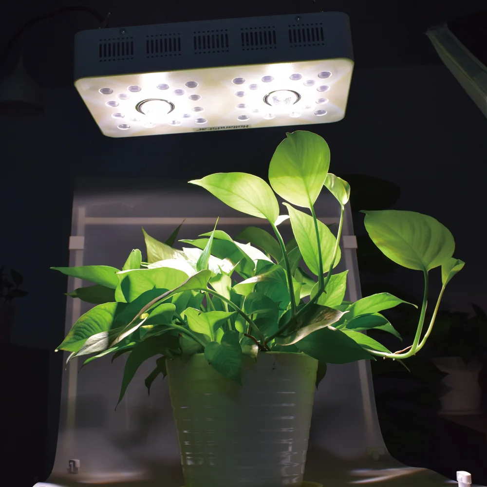Plant grow light (11)