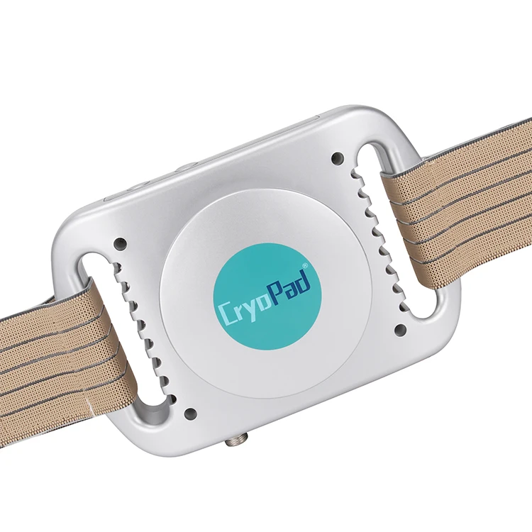 2019 Mini Antifreeze Slimming Machine for skin tightening CE approval home use or salon 5