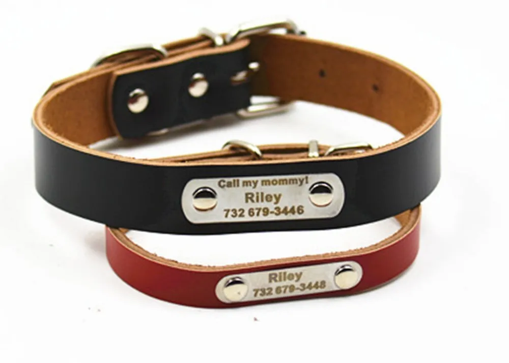 HTB1uNb3JVXXXXcMXpXXq6xXFXXX9