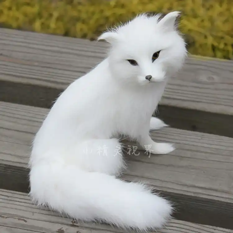 Zorro Blanco Duro De Plastico Y Piel De 16x14cm Regalo De Navidad Decoracion K0142 Stuffed Animal Fox Plush Toyplush Toys Aliexpress Zorro Blanco Duro De Plastico Y Piel De 16x14cm Regalo De Navidad Decoracion K0142 Stuffed Animal Fox Plush Toyplush Toys Aliexpress