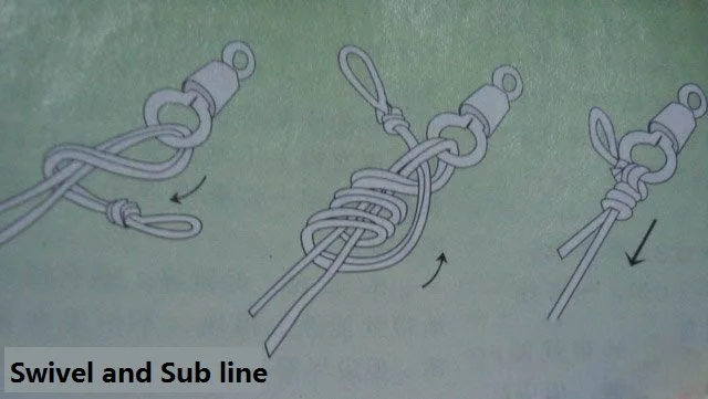 timg (1)