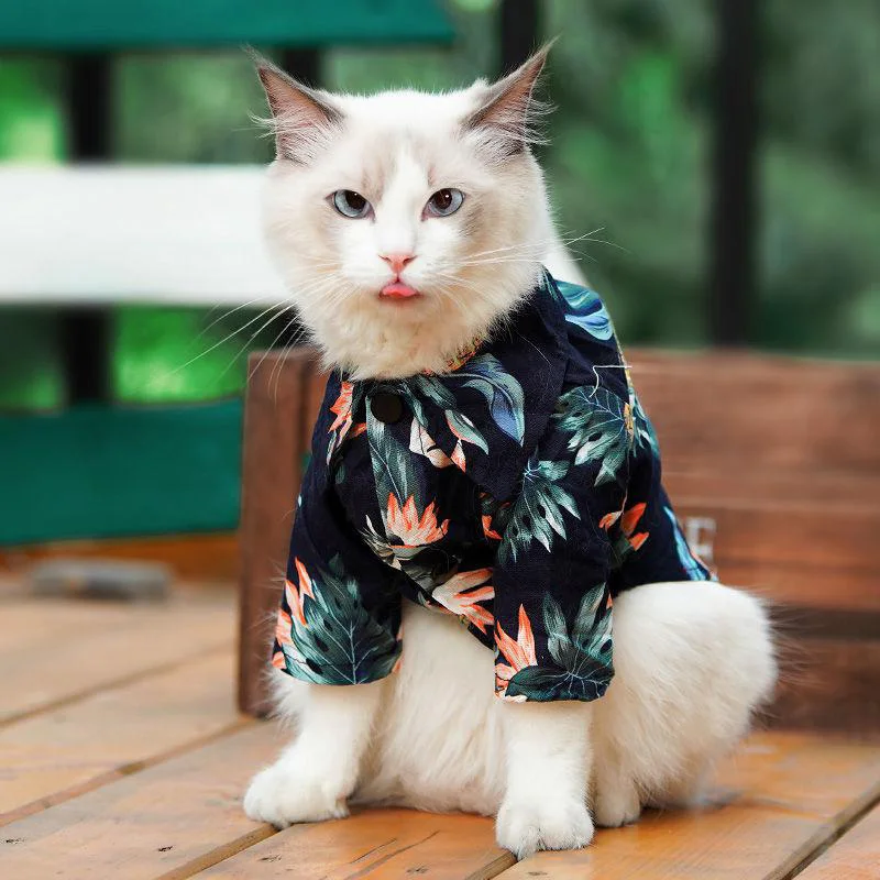 Ropa de verano para gato, camisa Floral, chaleco para perros pequeños y medianos, Chihuahua, Bulldog Francés, traje de de Estilo Hawaiano|Ropa para gatos| - AliExpress