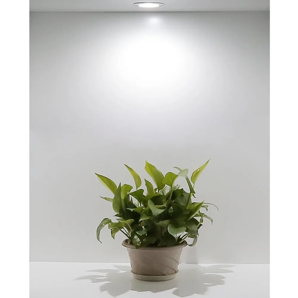 61aaJElTGWL._SL1200_