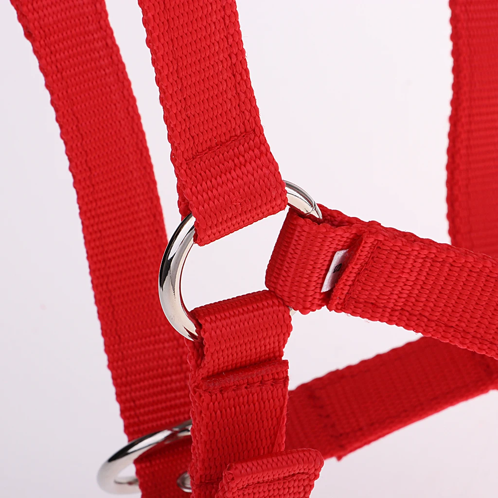 Strong and Durable Adjustable Webbing Equestrian Horse Halter Horse Riding Wear Adjustable Equestrian Horse Halter 
