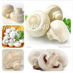 QQ20181218115414