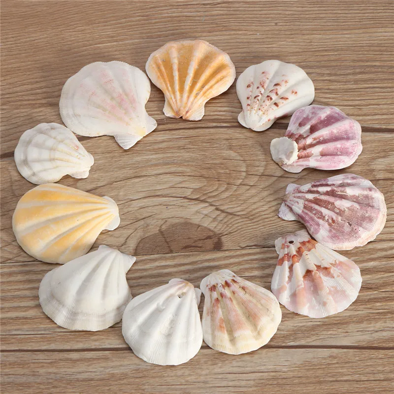 

10PCS Mediterranean Style Beautiful Beach SeaShells Mix Sea Natural Shells Shell Crafts for Aquarium Fish Tank Decor