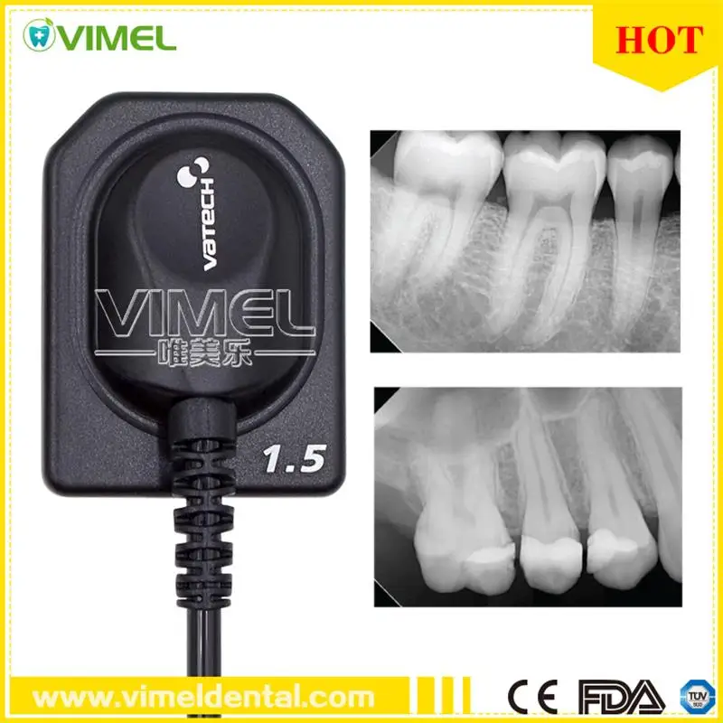 

Dental Equipment Dental Intraoral Sensor High Quality