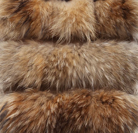 Femmes Natural De Les Raton Véritable Meilleur X Laveur Begin Fourrure En Pour Manteaux Mode Color Naturelle Vestes D'hiver Fourrures Veste long Réel Gros Chien P17zw1