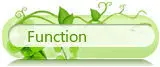function2
