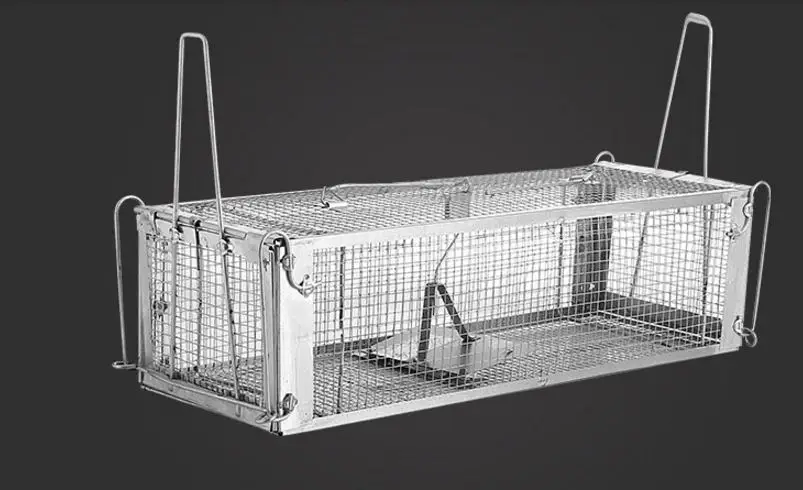 HTB13WJzoqSWBuNjSsrbq6y0mVXa5