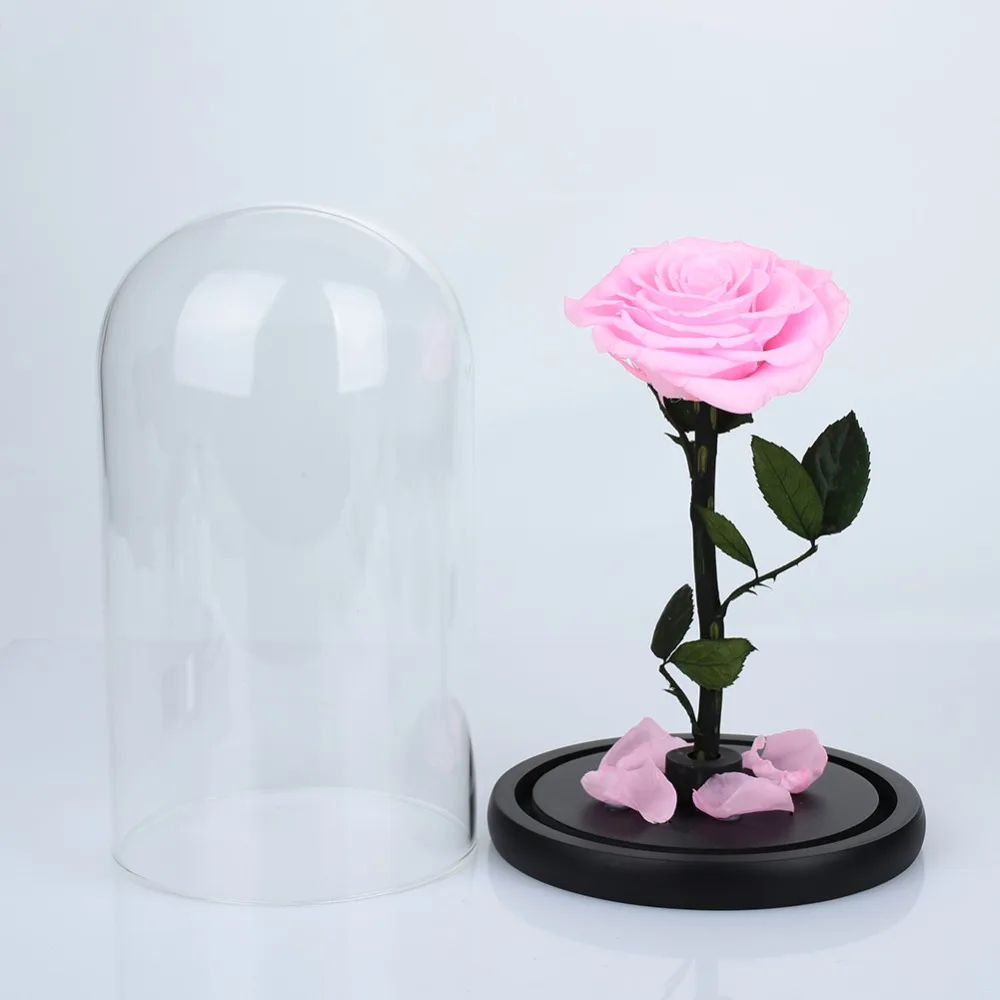 431254_22743747335548549b16fffd9c9e44e2