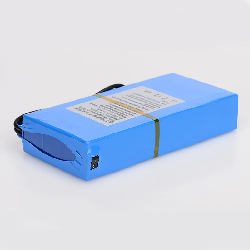 MasterFire 2 компл./лот AC/DC 12V 12000mah большой Ёмкость Перезаряжаемые Батарея литий-ионные
