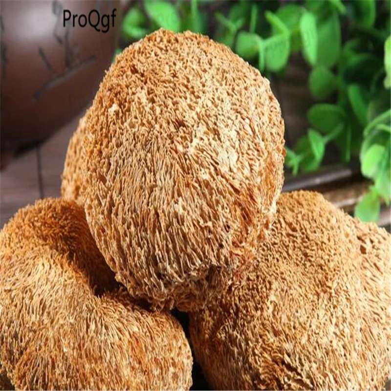 

ProQgf 100gram Hericium erinaceus or 100g Ranch spice blend