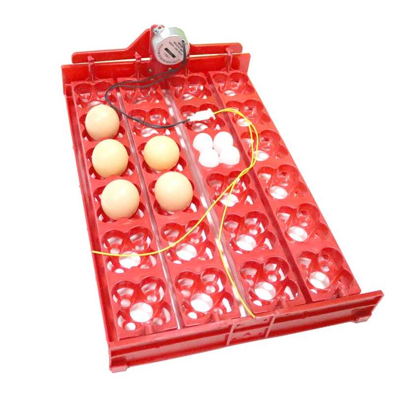 

DIY 96 Eggs Bird Incubator Egg Rack Tray automatic 24 Egg Incubator Quail Parrot Incubation Tool Size 43 * 28 cm