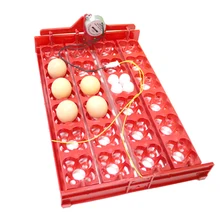 Incubadora para aves 96 huevos, bandeja automática de 24 huevos, herramienta de incubación de codornices de loros, tamaño 43*28 cm