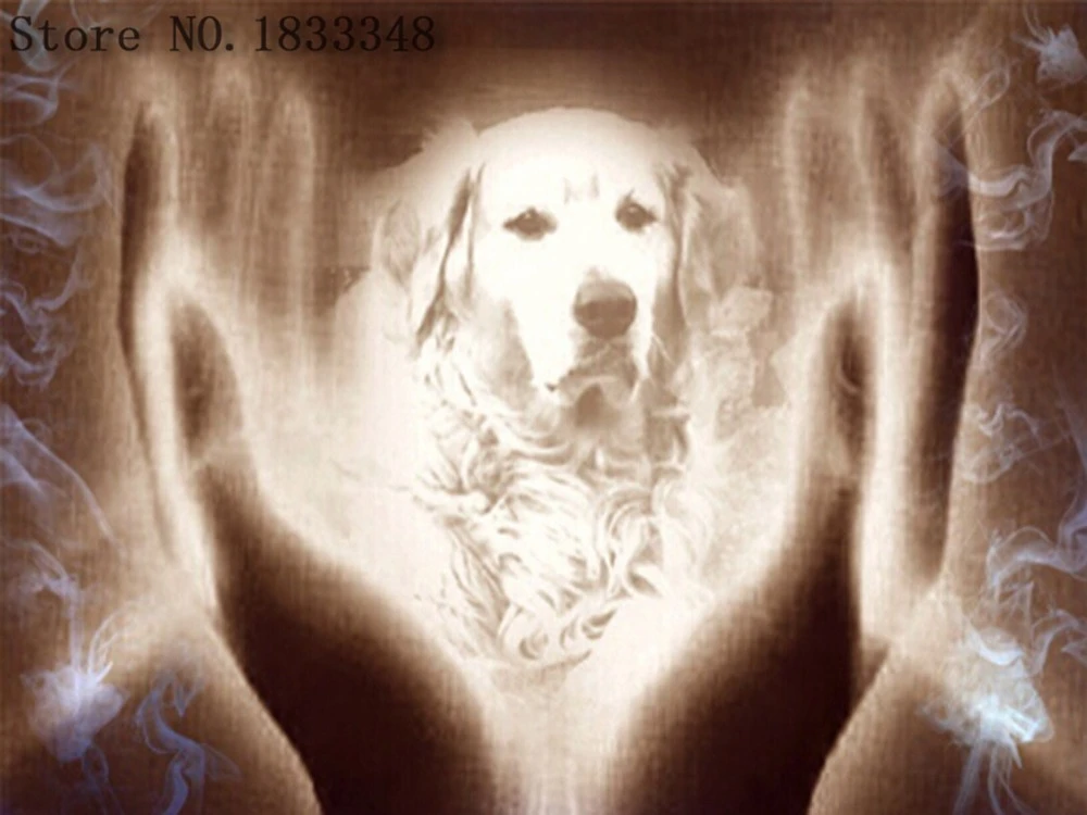 ダイヤモンド絵画ゴールデンレトリバーダイヤモンドモザイクパターンで動物絵画ラインストーンと刺繍犬クロスステッチキット Diamond Mosaic Diamond Paintingpainting Diamonds Aliexpress