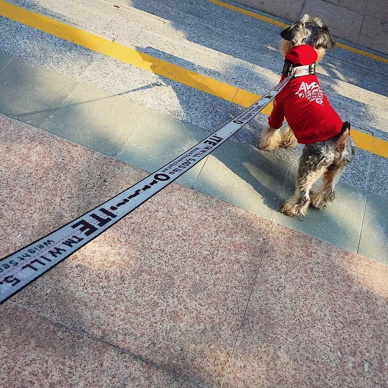 Pet Ведущий Поводок для собак кошек нейлон Прогулка собаку поводок Открытый безопасности дрессировки жгут зоотоваров