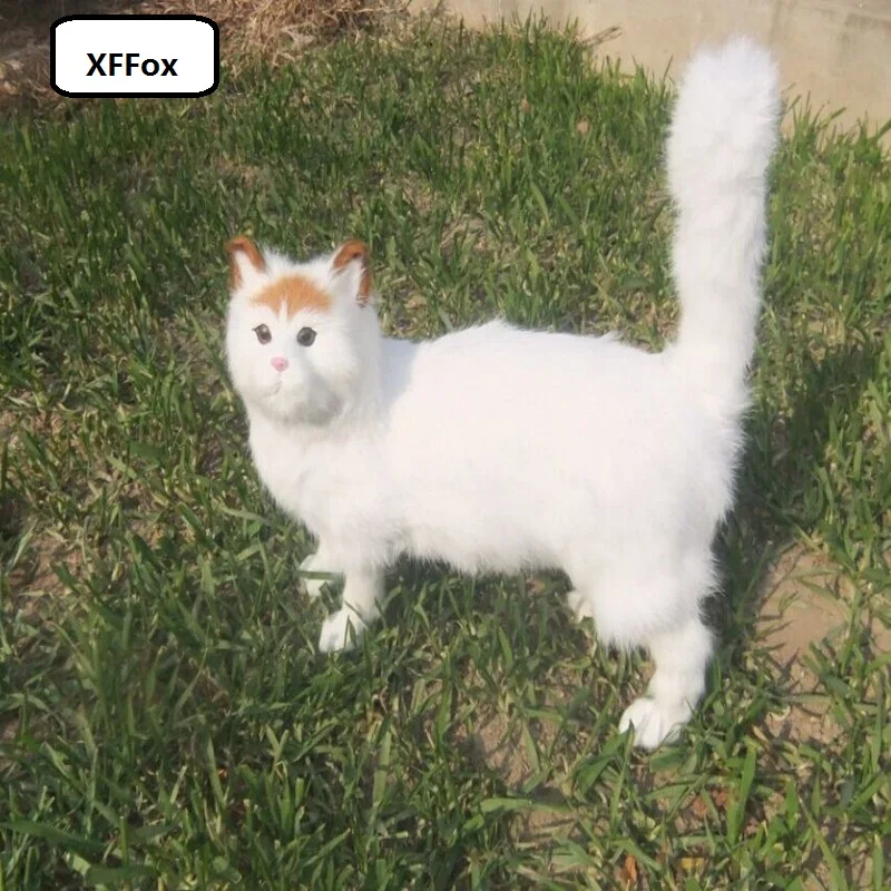 HTB1GARDKVXXXXc_XVXXq6xXFXXXd
