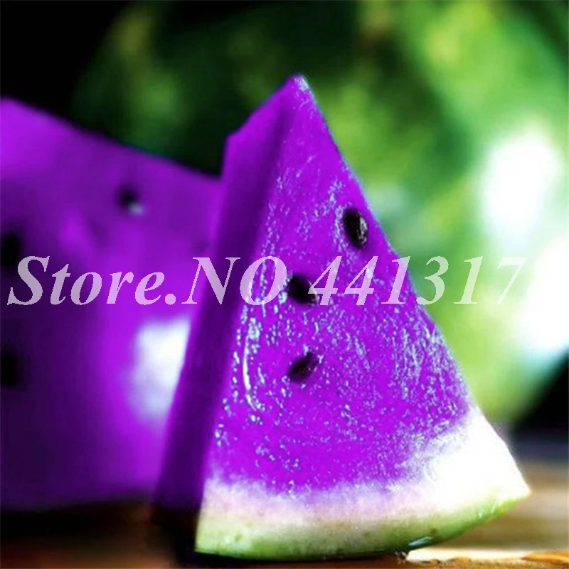 

30 PCS Giant Watermelon Plants Sweet Taste Vegetables & Fruit Planta Outdoor NON-GMO Edible Melon Fruta for Flower Pot Planter