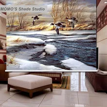 MOMO Roller Blinds Painting Window Blinds Shades Blackout Zebra Blinds Fabric Roller Shutter Curtains Custom Size , Alice 19