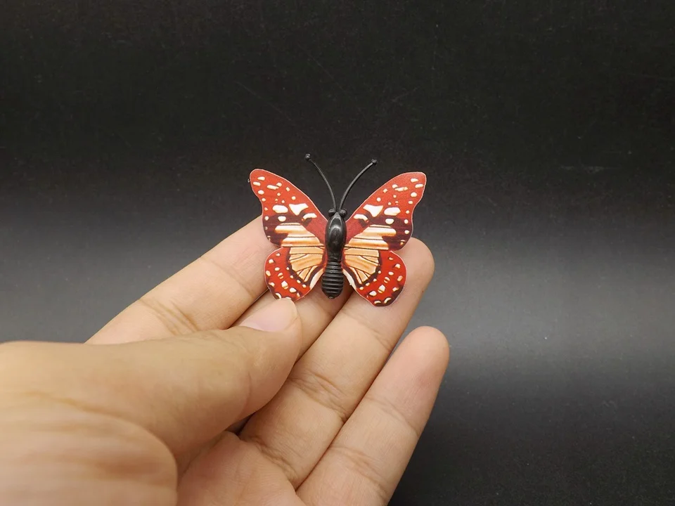 I257-Butterfly (1)