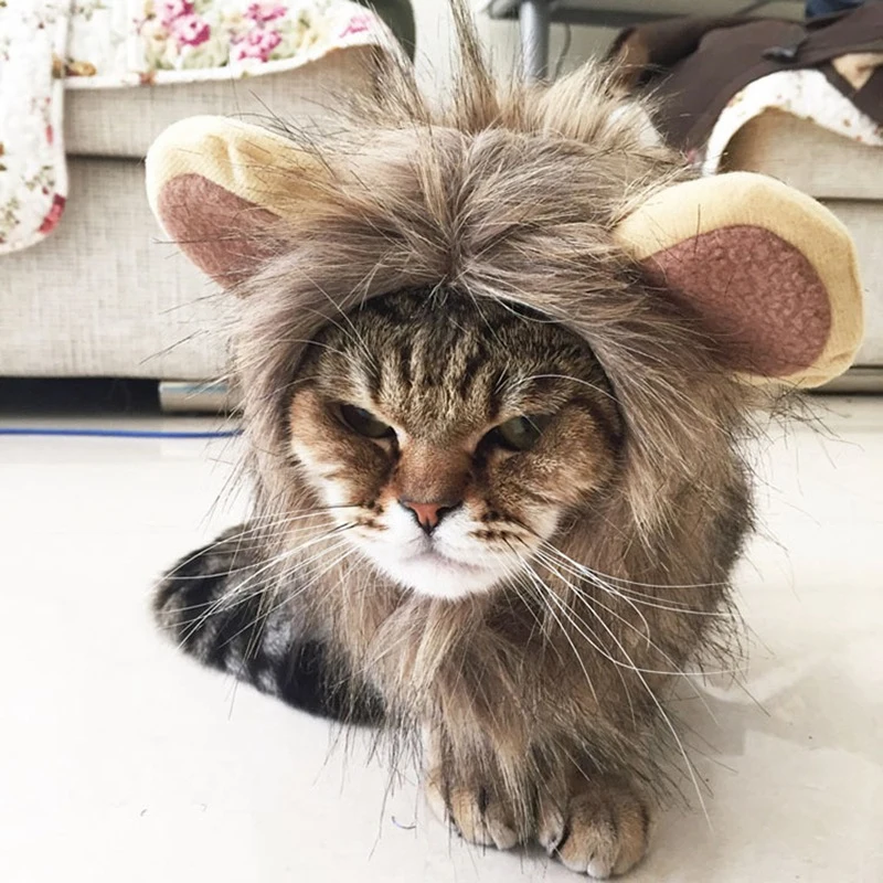 Costume De Cosplay Pour Animaux Domestiques Perruque De Lion Chapeau De Perruque Chapeau Pour Chat Vetements De Noel Robe Fantaisie Avec Oreilles Automne Et Hiver Aliexpress