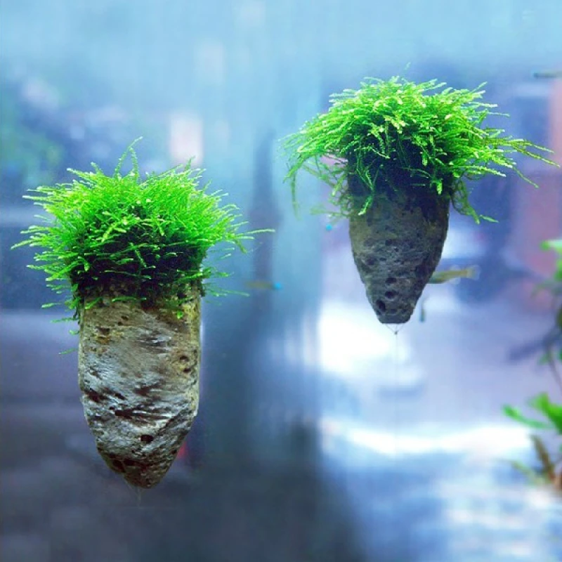 Avatar-Pumice-Stone-Aquarium-Decoration-Rock_6_800x800