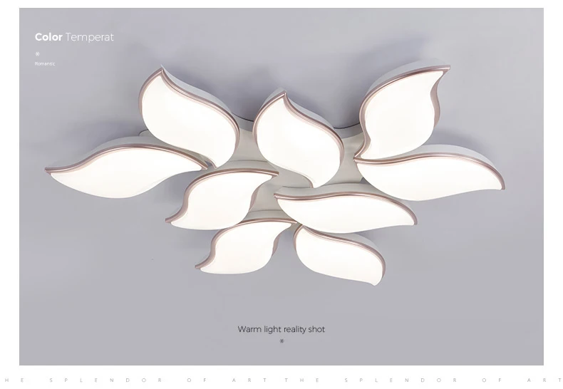 20C14DEE247A6E3D5FDA7113D75BCB20