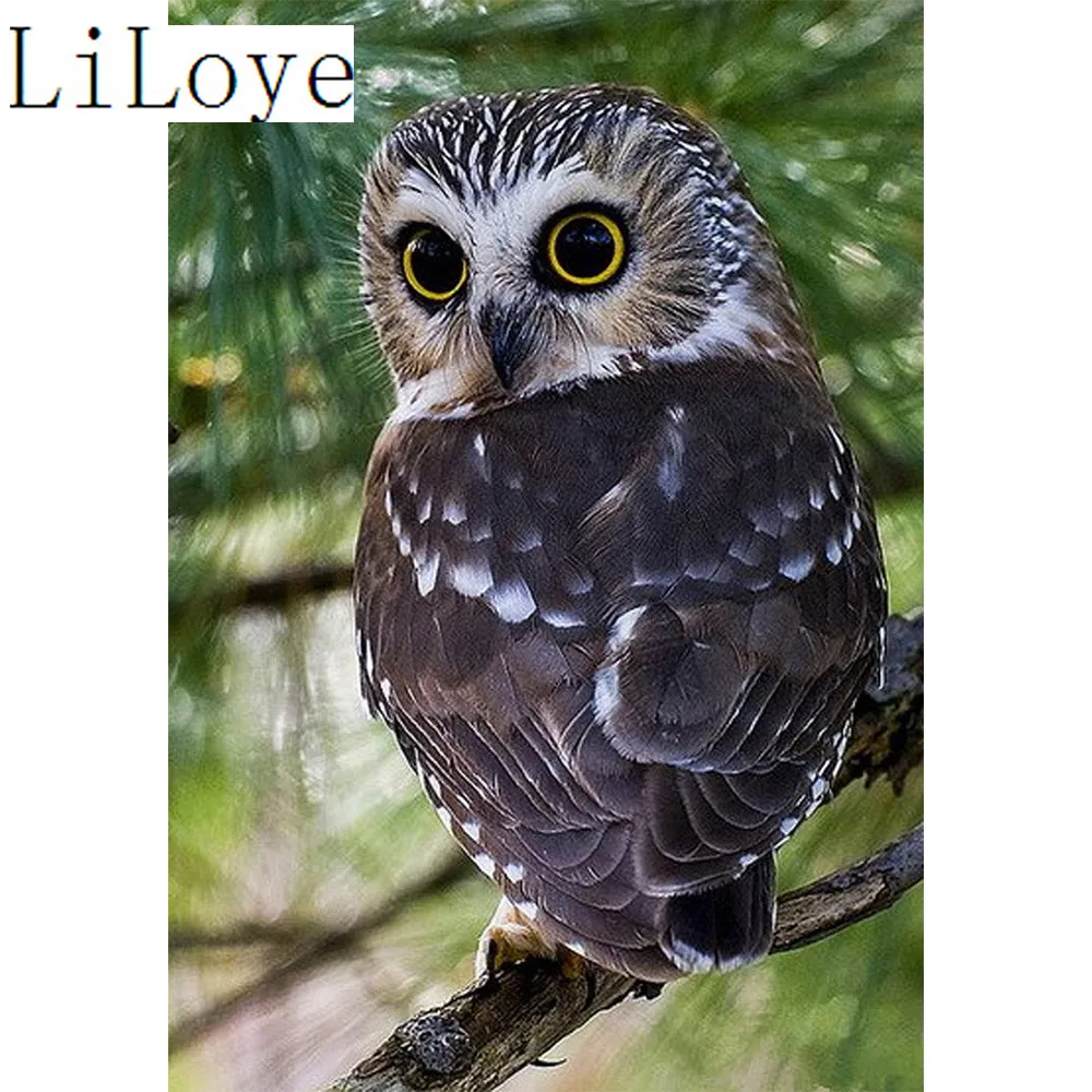 

LI LOYE 5D Diamond Mosaic owl Pattern Sticker Full Round Diamond Embroidery Diamond Painting DIY Decor Painting Rhinestones Q842