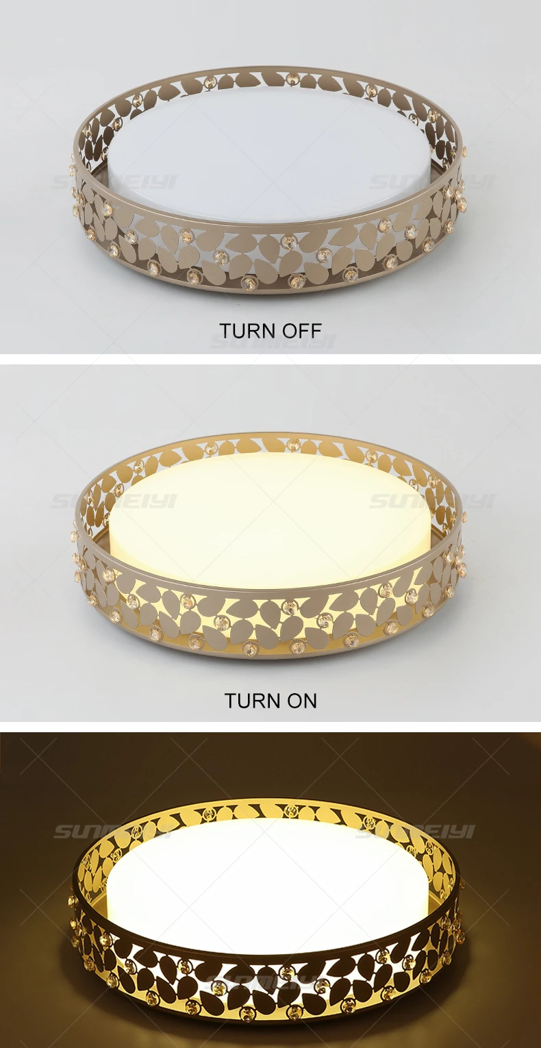 Ceiling Lights04