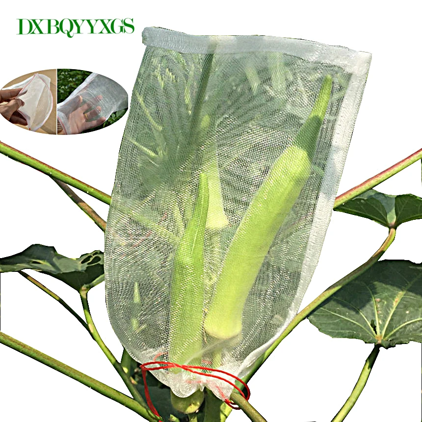 

DXBQYYXGS10 Pcs/Lot Insect Nylon Net Bag Seed filter bag fruit bag With Vegetable Fruit Protection Breeding Bag Garden Supplies