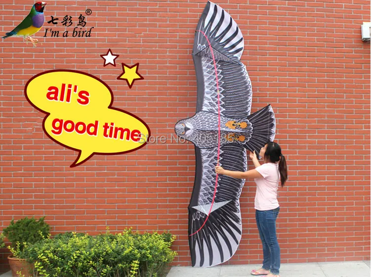 Воздушный змей Eagle мощный 3 6 м с ручкой и плетеной линией|sporting goods mail order|kite artkite
