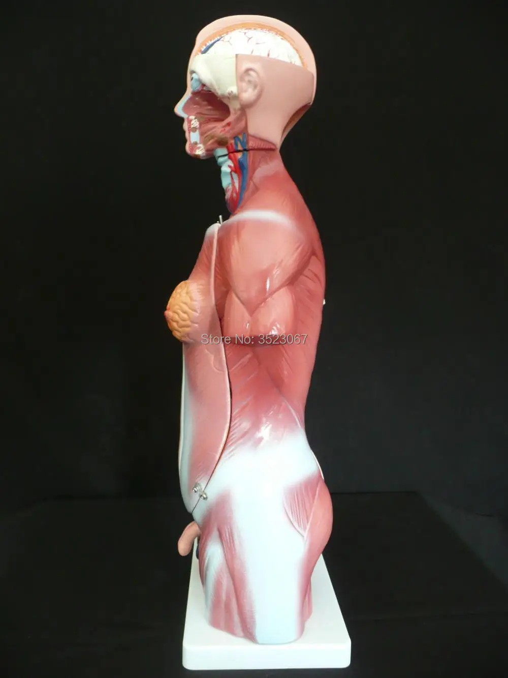 45cm5