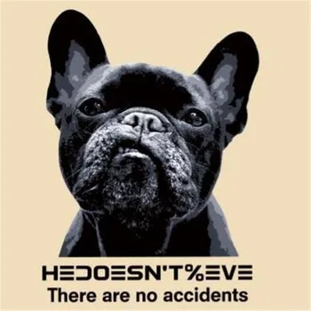 

Fashion animal Patch DIY Clothes bulldog 3d stickers Thermal Transfer Printing Iron on patches for clothing T shirt women