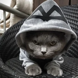 2019 Moda Gato Ropa Mascotas Gato Abrigos Chaqueta Sudaderas con Capucha para Perros Perros Caliente Ropa para Mascotas Traje Corto Británico Mascota para Gatos A-278 2019 Moda Gato Ropa Mascotas Gato Abrigos Chaqueta Sudaderas con Capucha para Perros Perros Caliente Ropa para Mascotas Traje Corto Británico Mascota para Gatos A-278