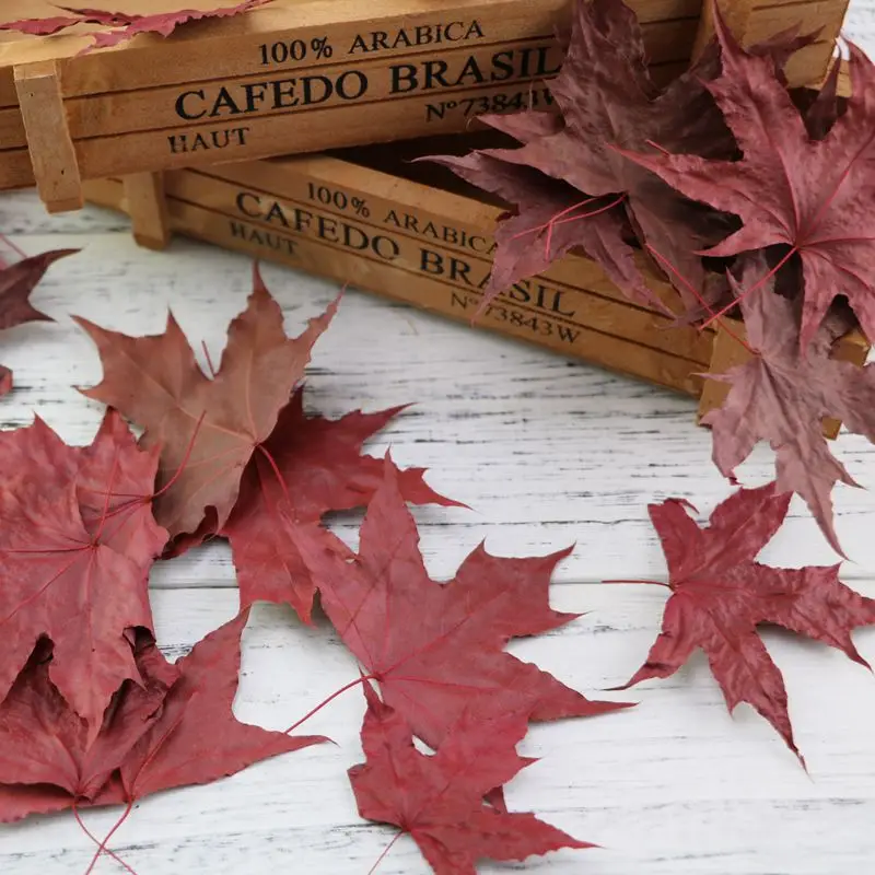 

Natural Maple Leaf Dry Leaves Red Green Foliage Five Stars Leaves Bookmark Adornment Photography Shooting Props Accessories