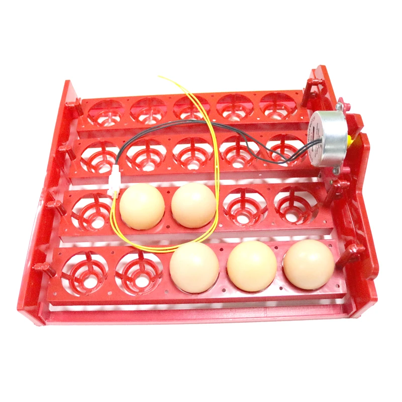 20 Egg Incubator Turn Eggs Tray Eggtester Automatic Incubator Controller Experimental Teaching Equipment