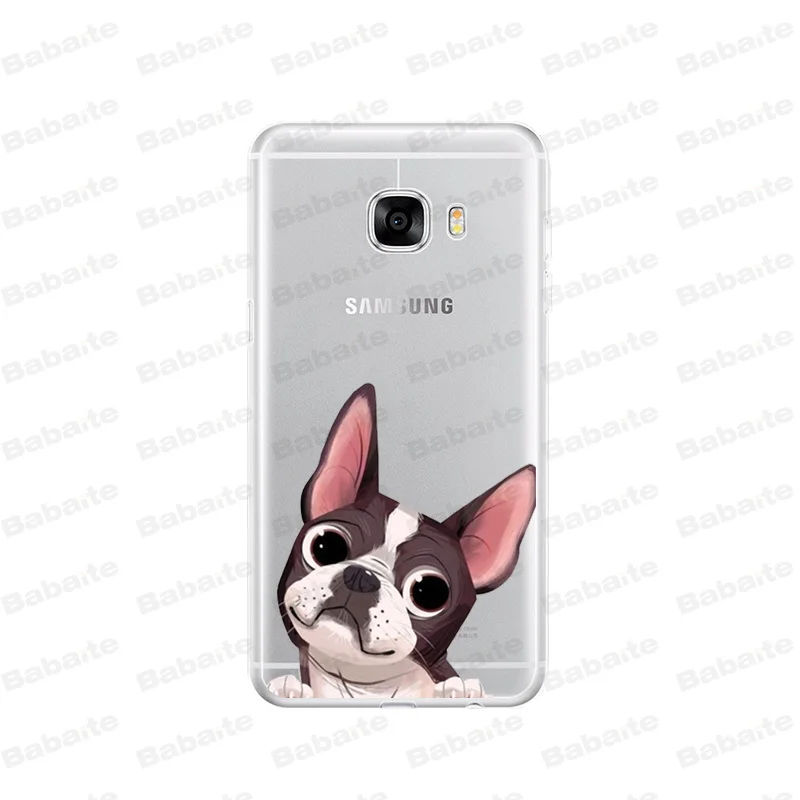 Cute  French Bulldog cartoon dog and cat