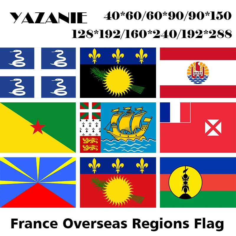0 France Overseas regions and collectivities Flag 1