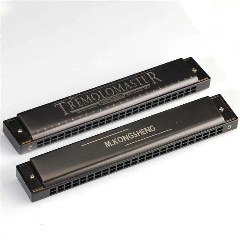 24 Hole Tremolo Harmonica C Adult Students Playing Harmonica Beginners