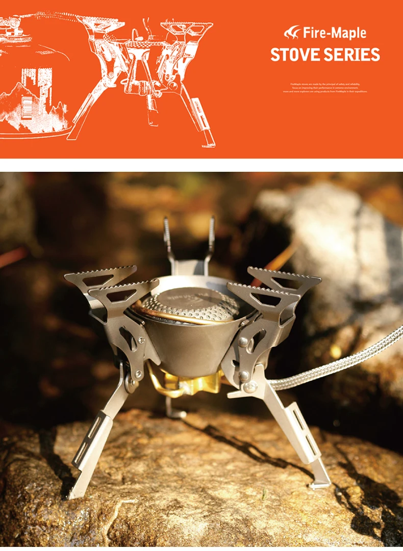 FMS-100_01
