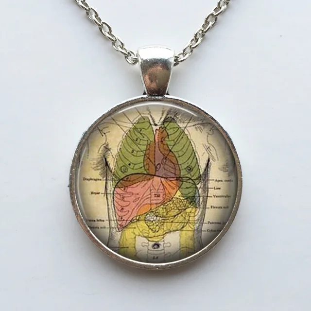 Human anatomy pendant internal organs anatomy necklace Anatomical